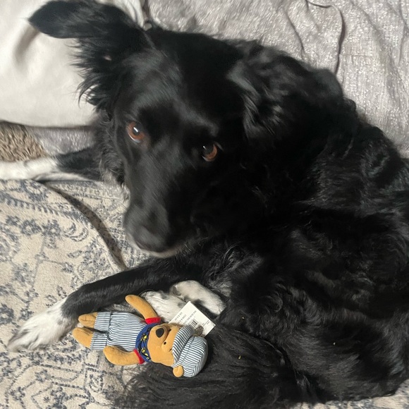 Meet your Posher, Alicia - Picture 4 of 7